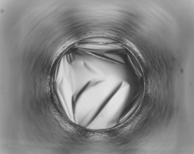 X0000088370786200706121119