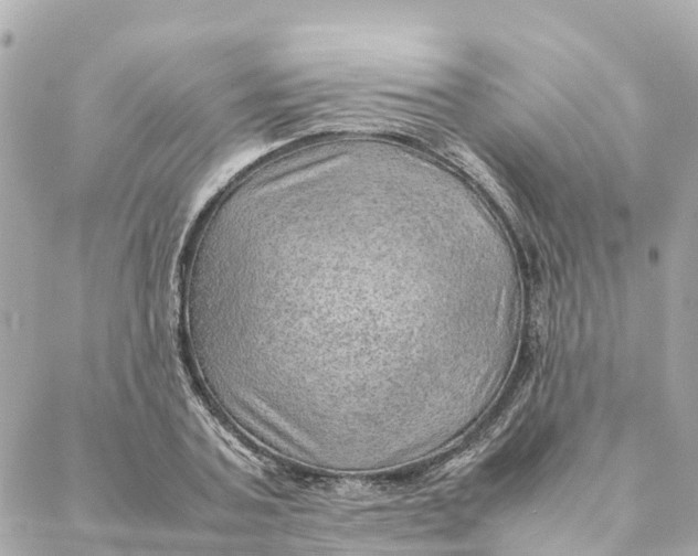 X0000088370787200706121119