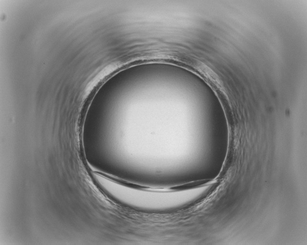 X0000088370789200706121119