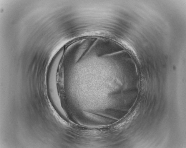 X0000088370792200706121119