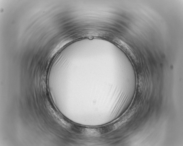 X0000088370794200706121119