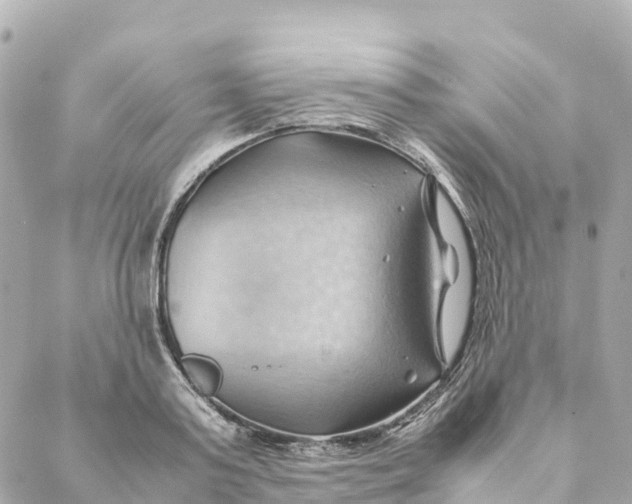 X0000088370795200706121119
