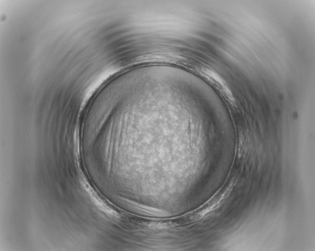 X0000088370796200706121119