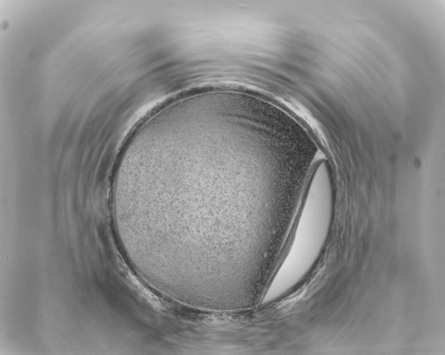 X0000088370799200706121119