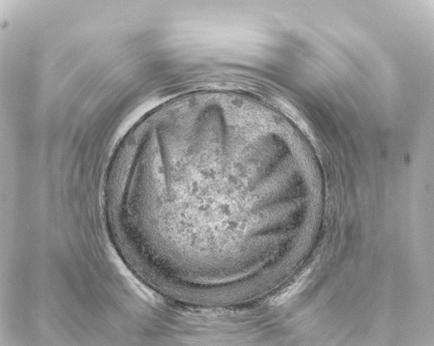 X0000088370803200706121119