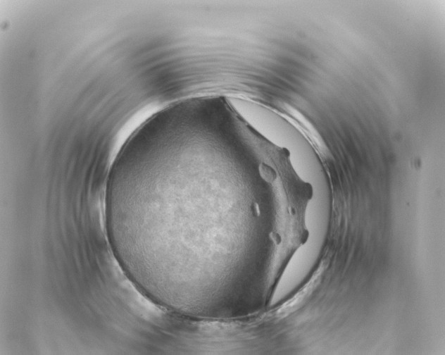 X0000088370812200706121118