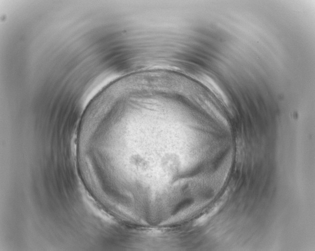 X0000088370814200706121118