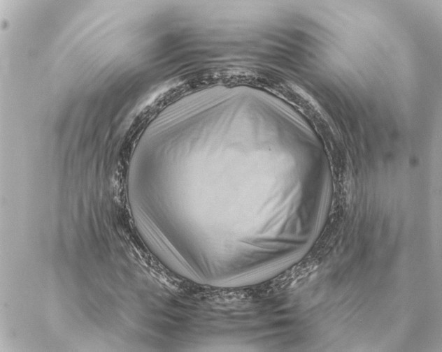 X0000088370823200706121118