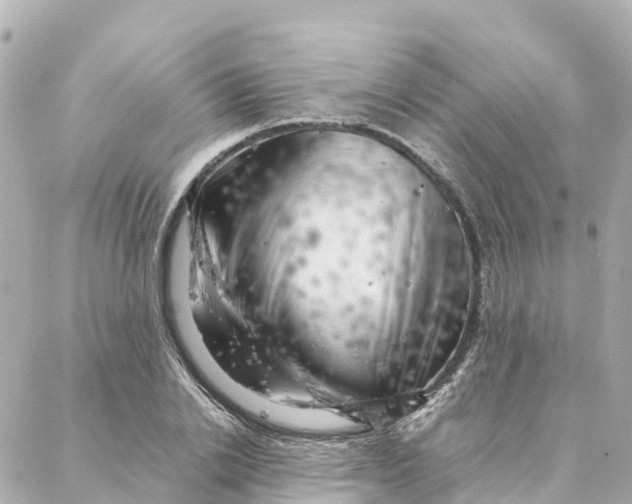 X0000088370838200706121118