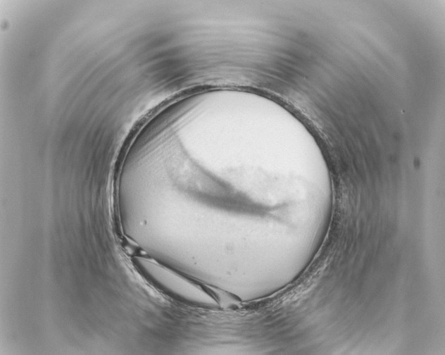 X0000088370840200706121118