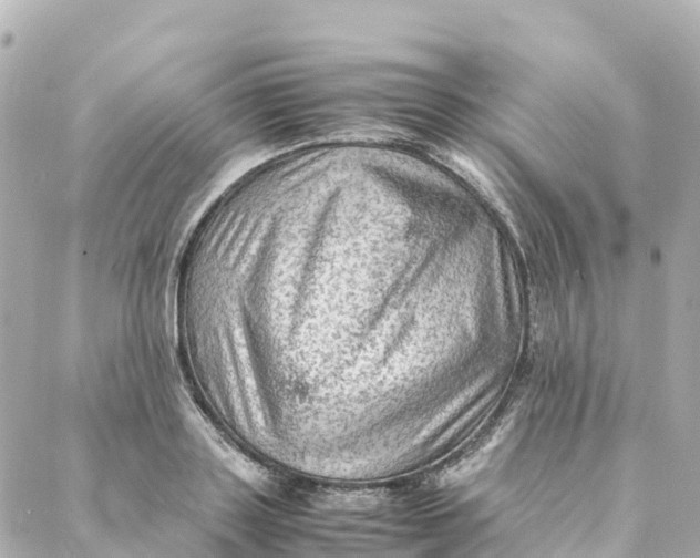 X0000088370843200706121118