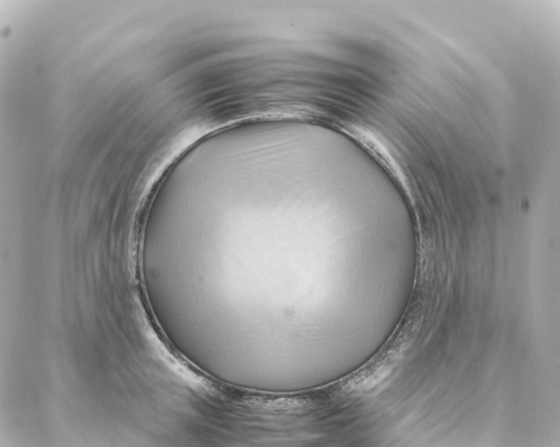 X0000088370851200706121118