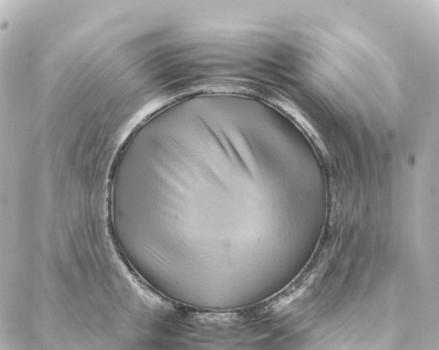X0000088370853200706121118