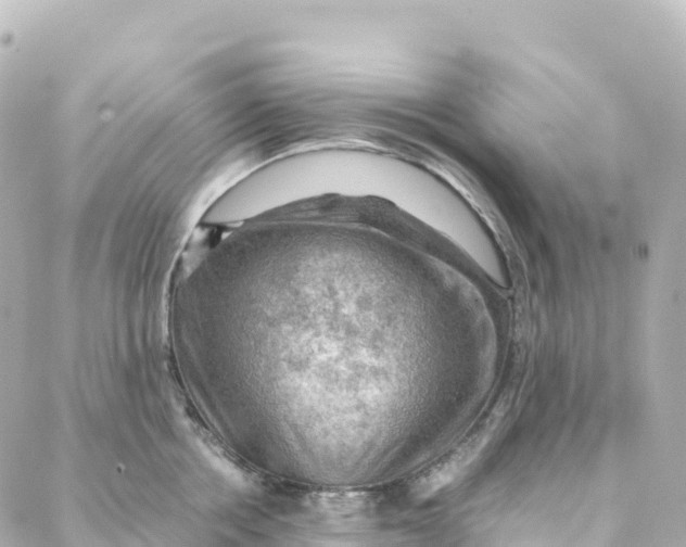 X0000088370858200706121118