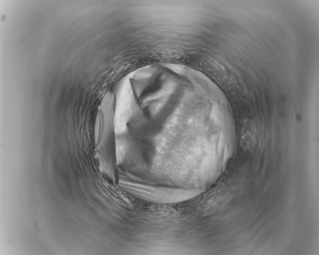 X0000088370866200706121117
