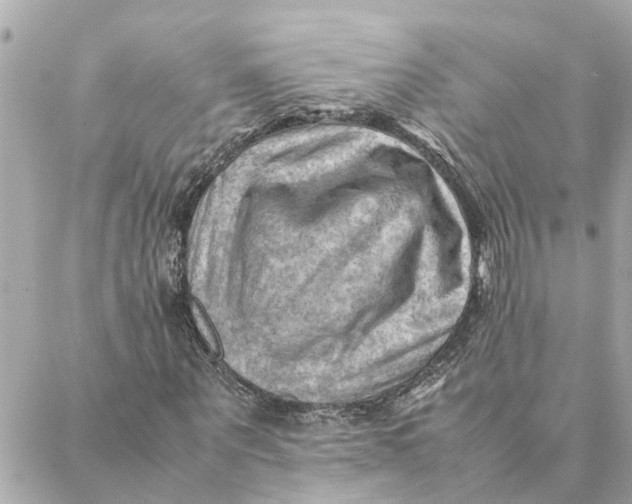 X0000088370867200706121117