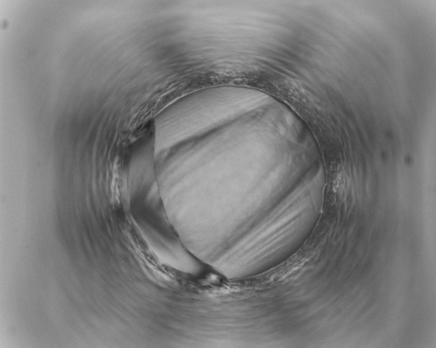 X0000088370868200706121117