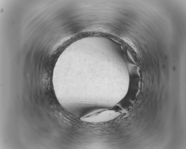X0000088370872200706121117