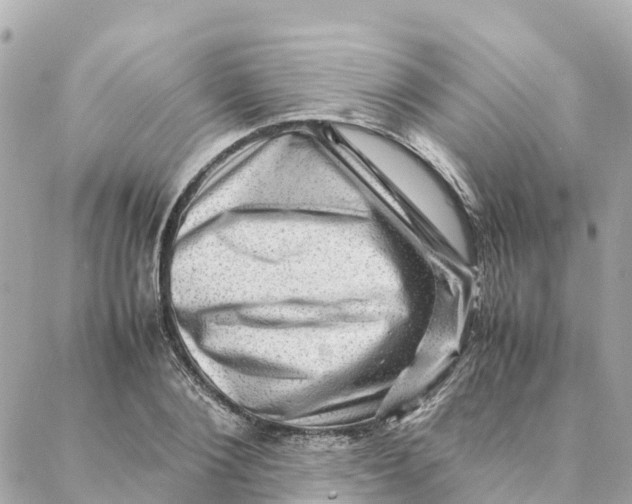 X0000088370884200706121117