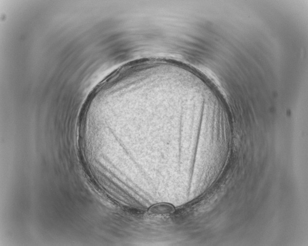 X0000088370887200706121117