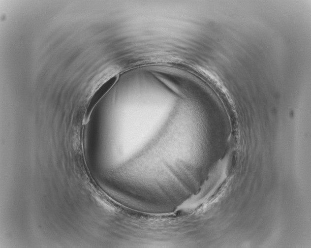 X0000088370889200706121117