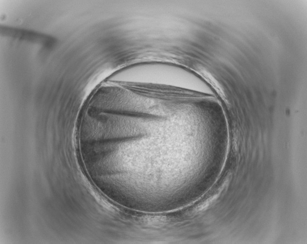 X0000088370893200706121117