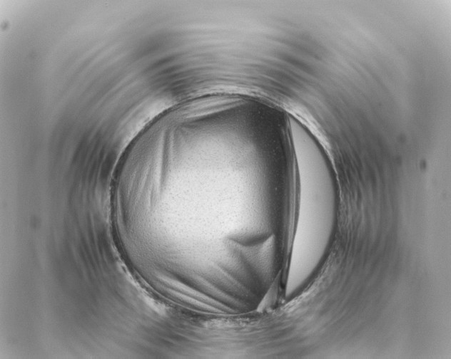 X0000088370898200706121117