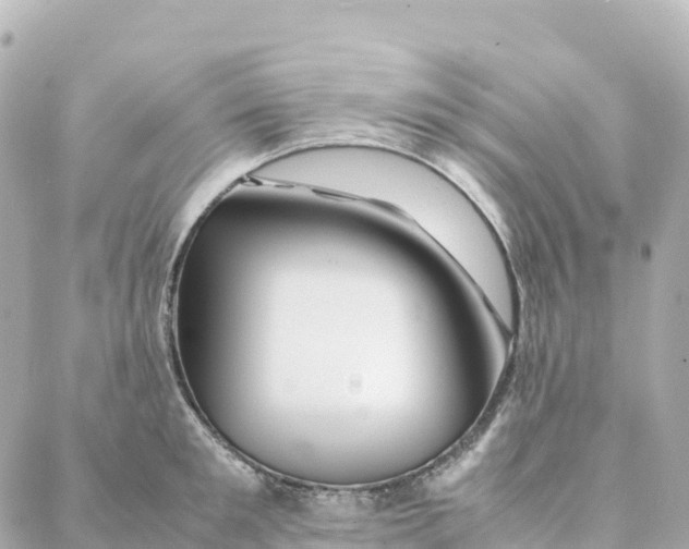 X0000088370901200706121117
