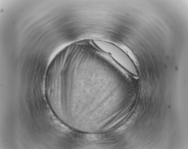 X0000088370904200706121117