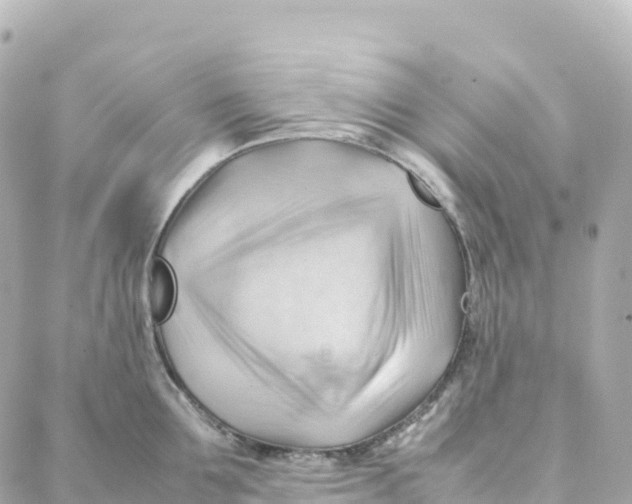 X0000088370907200706121117