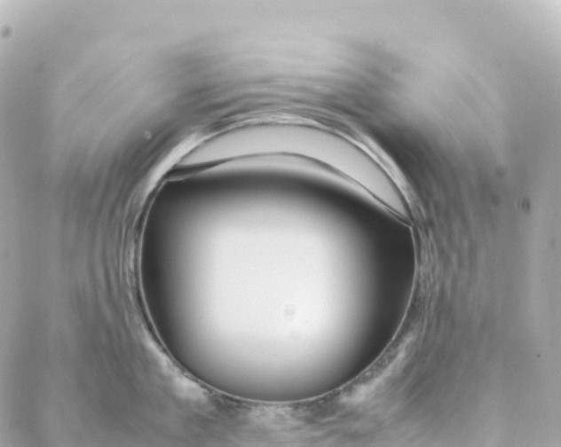 X0000088370909200706121117