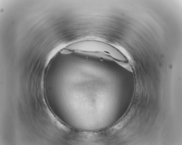 X0000088370910200706121117