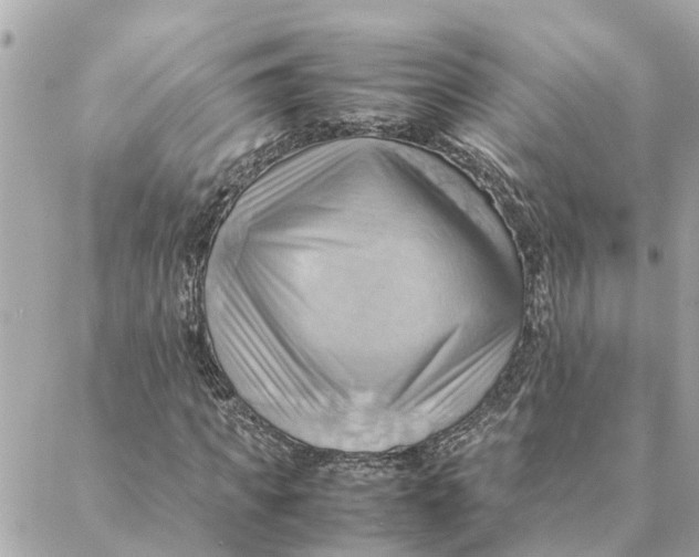 X0000088370917200706121116