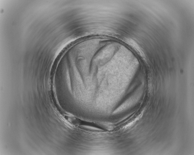 X0000088370924200706121116