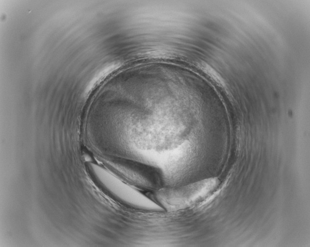 X0000088370930200706121116