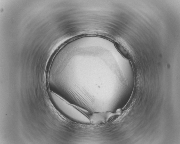 X0000088370932200706121116