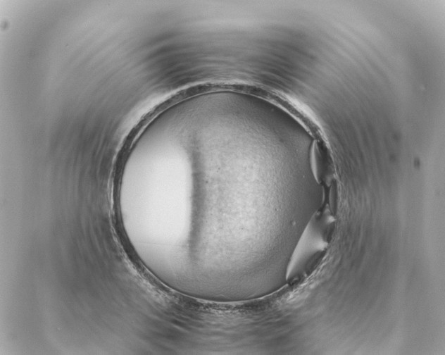X0000088370935200706121116