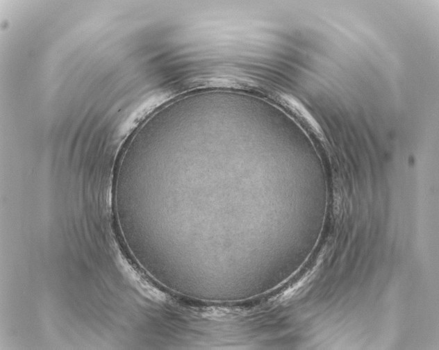 X0000088370938200706121116