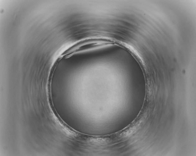 X0000088370943200706121116