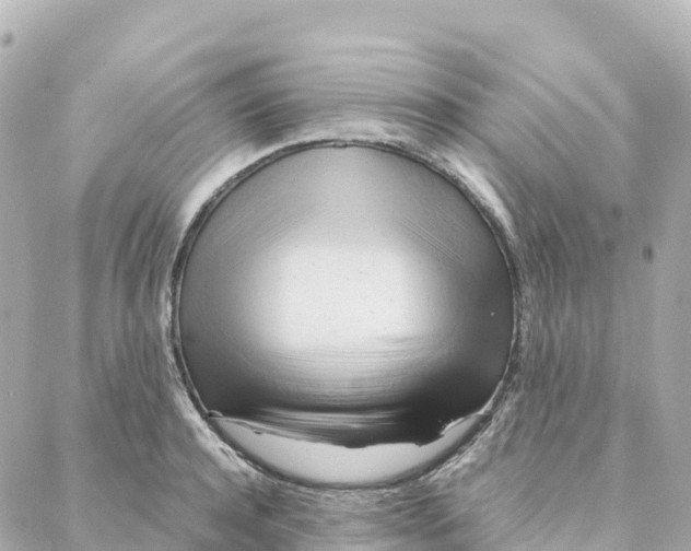 X0000088370944200706121116