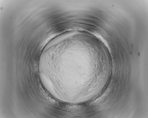 X0000088370945200706121116