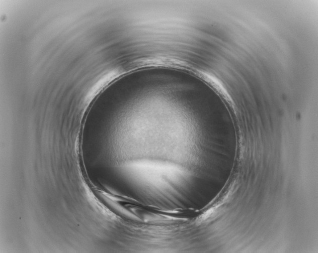 X0000088370946200706121116