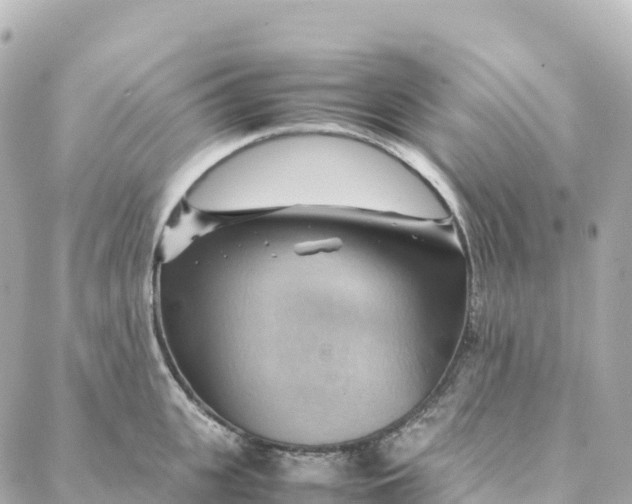 X0000088370951200706121117