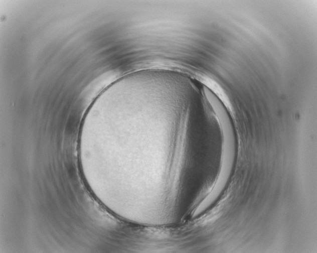 X0000088370954200706121117