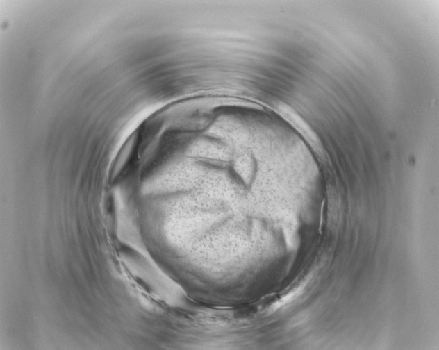 X0000088370956200706121117