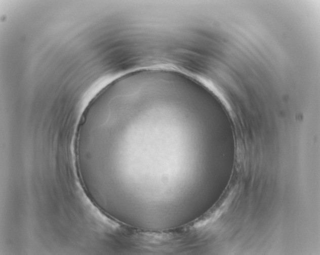 X0000088370959200706121117