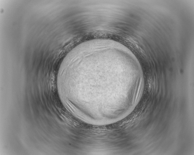 X0000088370964200706121116