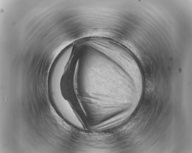 X0000088370980200706121116