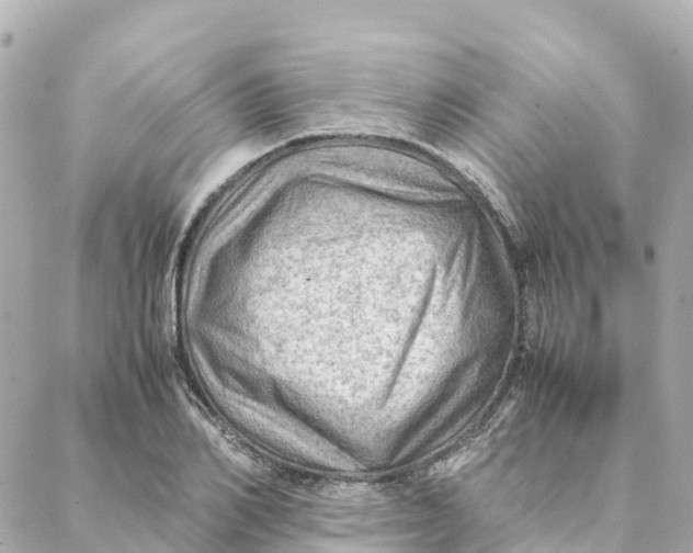 X0000088370982200706121116