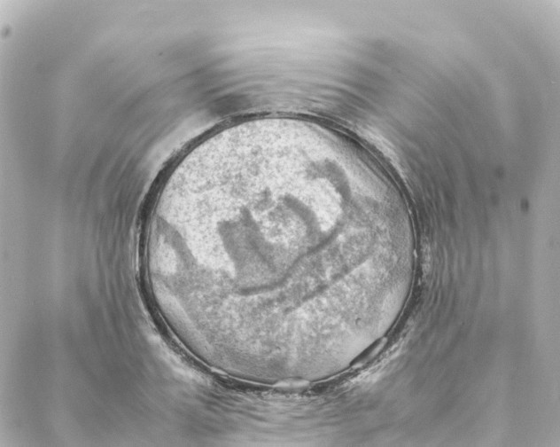 X0000088370987200706121116
